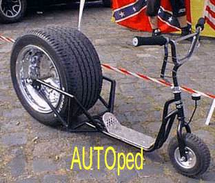 49_AUTOped