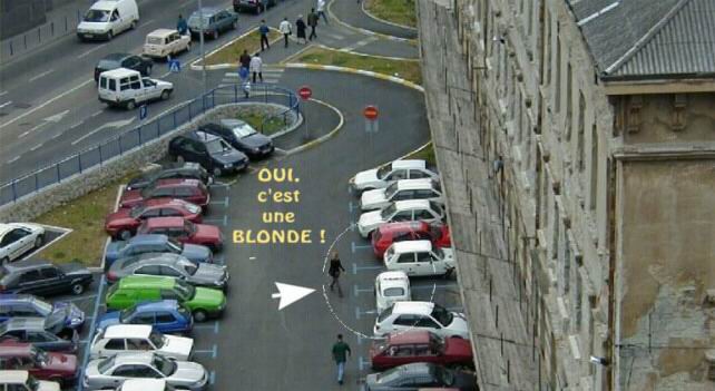 50_blonde voiture