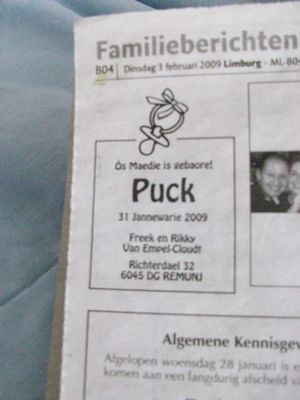 puck8